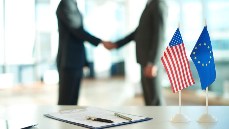 U.S. business immigration legal consultation image